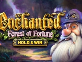Enchanted Forest Of Fortune game icon